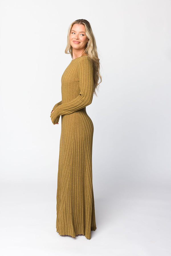 Serena Ribbed Knit Maxi Dress in Brown